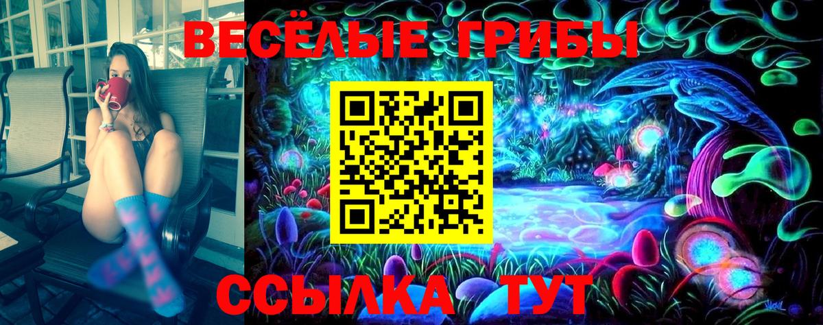 Псилоцибиновые грибы мицелий  Галлюциногенные грибы Psilocybine cubensis  Вход с VPN  Ленинск-Кузнецкий 